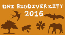 Dni biodiverzity   Nevzdávaj to 2016