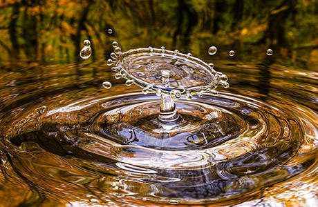 Voda - základná zložka života