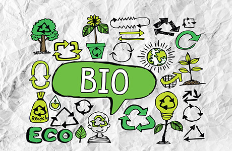 Čo sú to EKO, BIO a organické produkty?