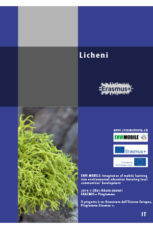 Inquinamento atmosferico - Licheni