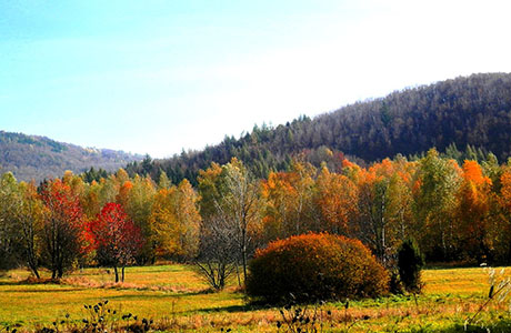 Ľudové tradície na Slovensku - jeseň