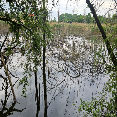 Keď mladí menia svet