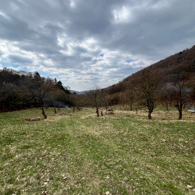 Akcia Stromákov na Vršatci sa vydarila