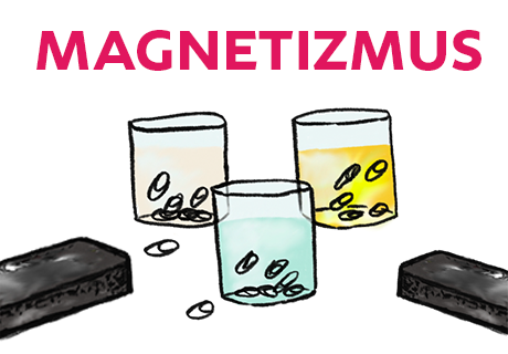 Magnetizmus