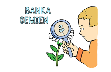 Banka semien