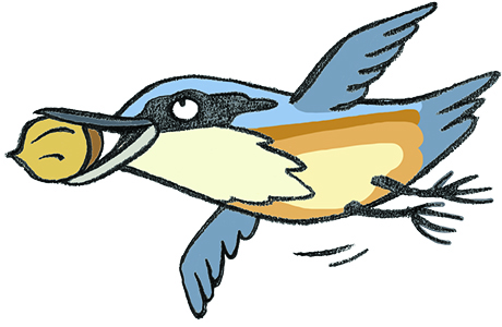 Jednoduché kŕmidlá