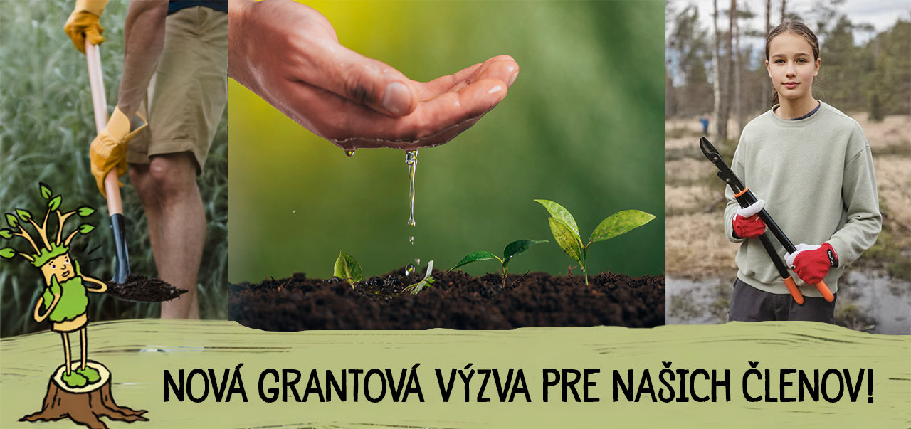 Mládežnícka jar so Stromom života 2026 - 1. kolo