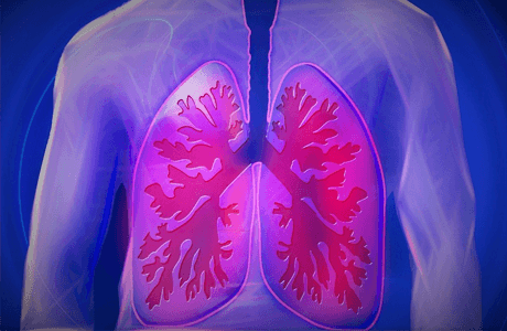 ENVI-Talent: Ako pracujú naše pľúca?