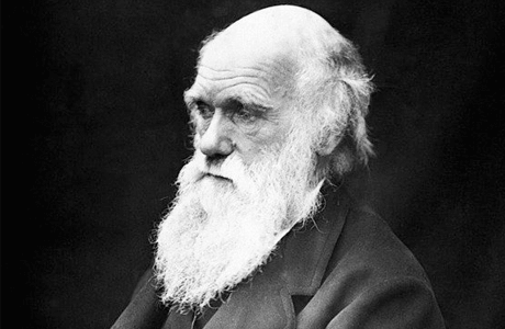 Darwinova teória