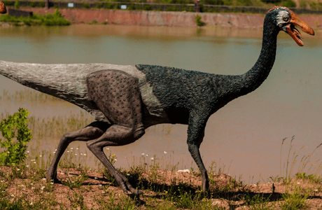 Vieme naozaj, akej farby boli dinosaury?