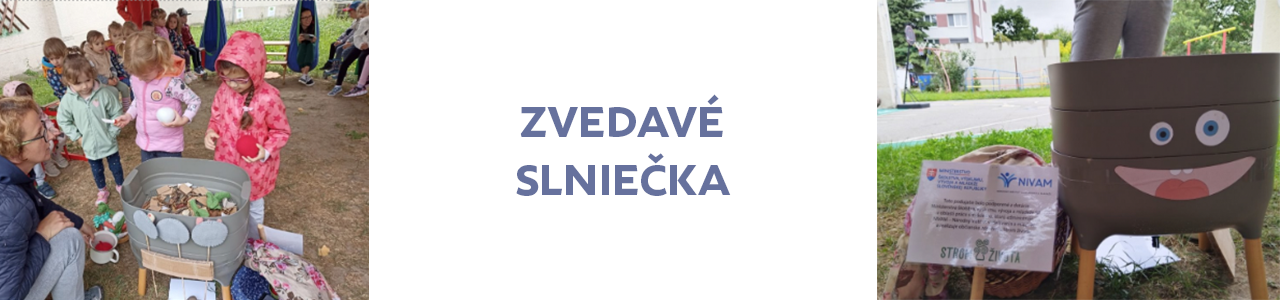 Zvedavé slniečka