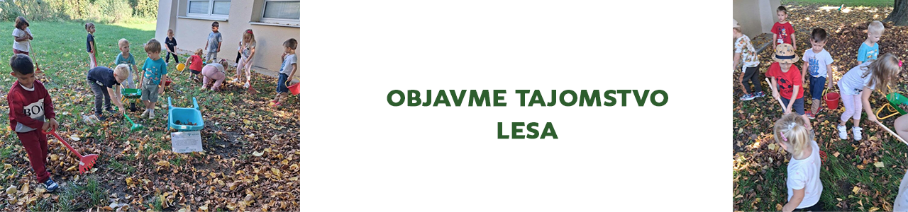 Objavme tajomstvo lesa