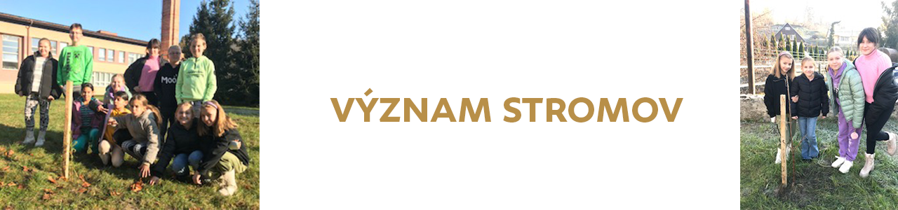 Význam stromov na školskom dvore