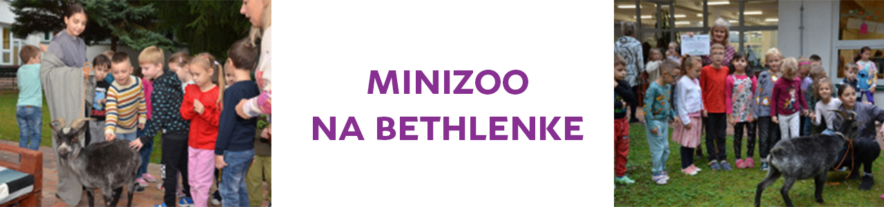 MiniZOO  na Bethlenke