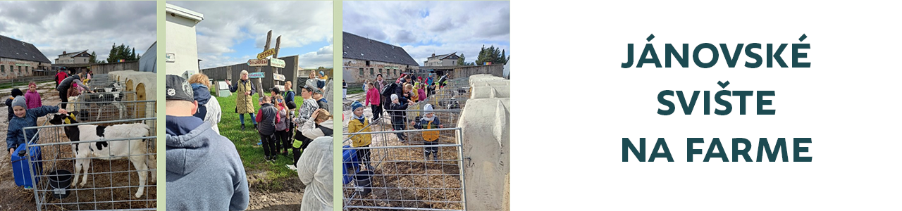 Jánovské svište na farme