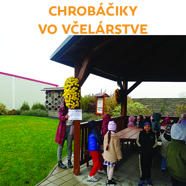 Chrobáčiky vo včelárstve