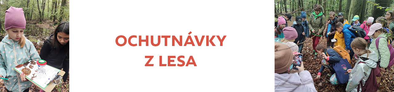 Ochutnávky z lesa