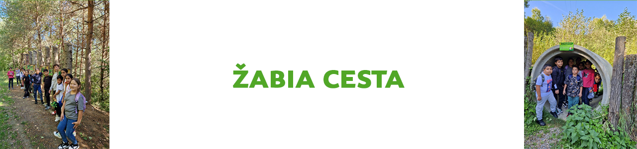 Žabia cesta