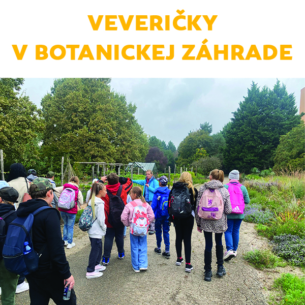 Večianske veveričky v Botanickej záhrade