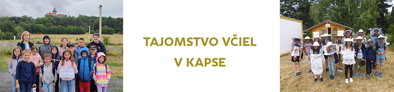 Tajomstvo včiel v klube KapSA
