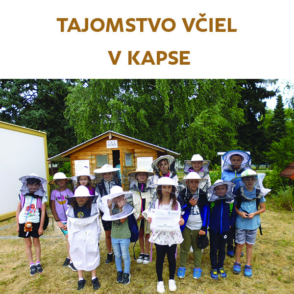Tajomstvo včiel v klube KapSA