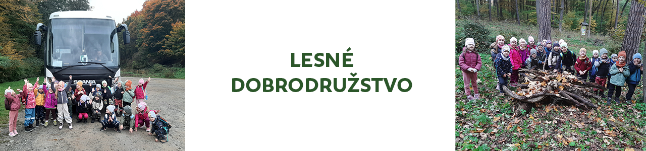 Lesné dobrodružstvo