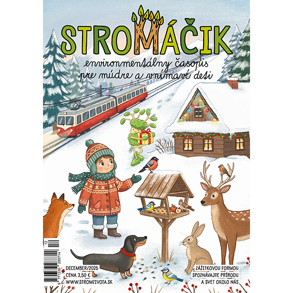 Stromáčik december 2025