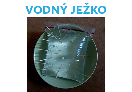 Vodný ježko