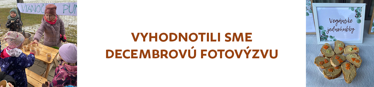 Vyhodnotenie FOTOVÝZVY december 2024