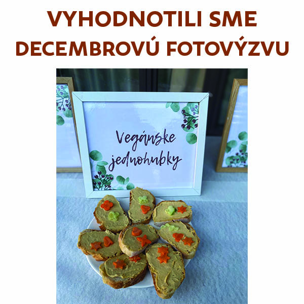 Vyhodnotenie FOTOVÝZVY december 2024