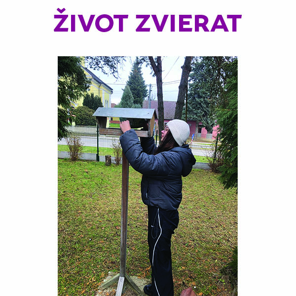 Pútavý život ríše zvierat