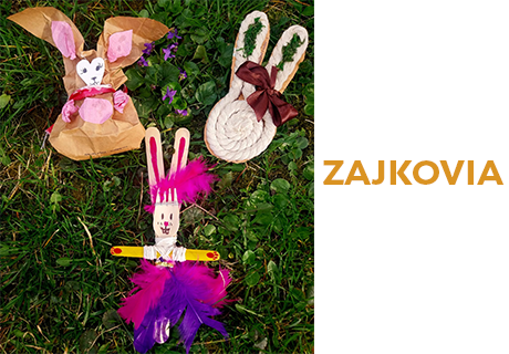 Zajkovia