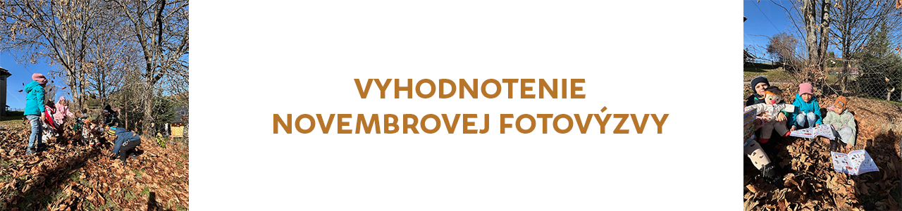 Vyhodnotenie FOTOVÝZVY november 2025