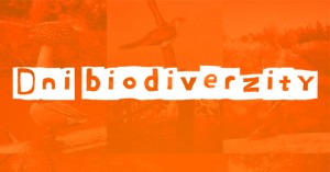 Vyhodnotenie súťaže Dni Biodiverzity 2012