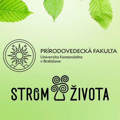 Memorandum o spolupráci
