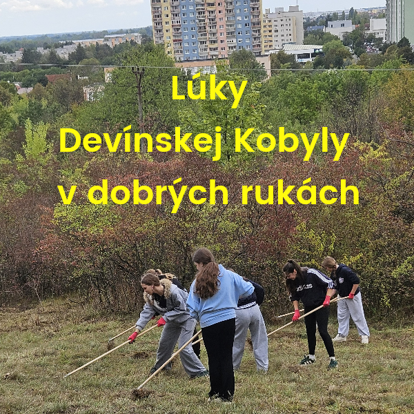 Lúky Devínskej Kobyly v dobrých rukách