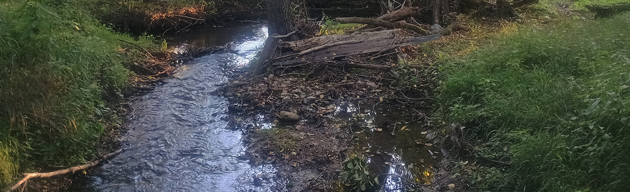 Čistíme plastový odpad z potoka v Jablonovom