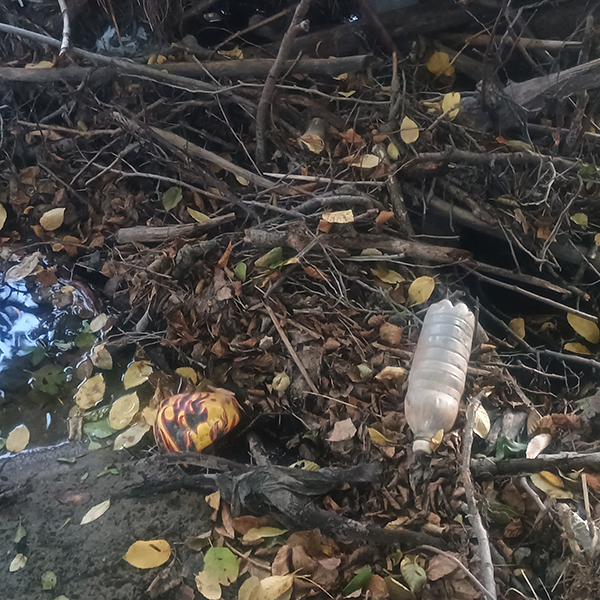 Čistíme plastový odpad z potoka v Jablonovom