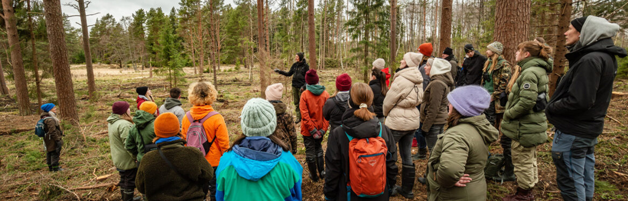 Online workshop Restoration Academy: Ako šíriť myšlienky obnovy prírody priamo medzi mladými ľuďmi.