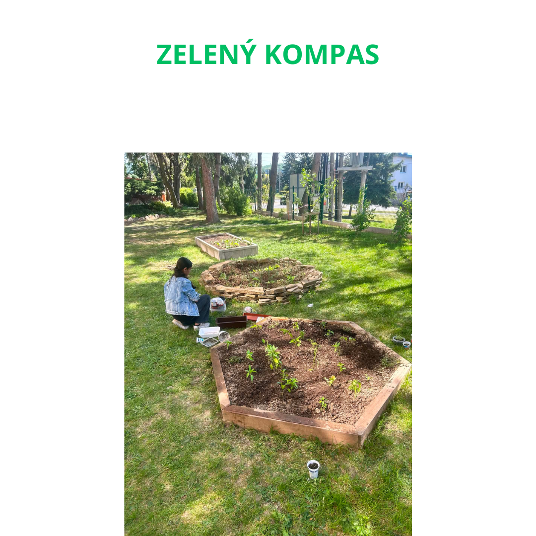 Zelený kompas