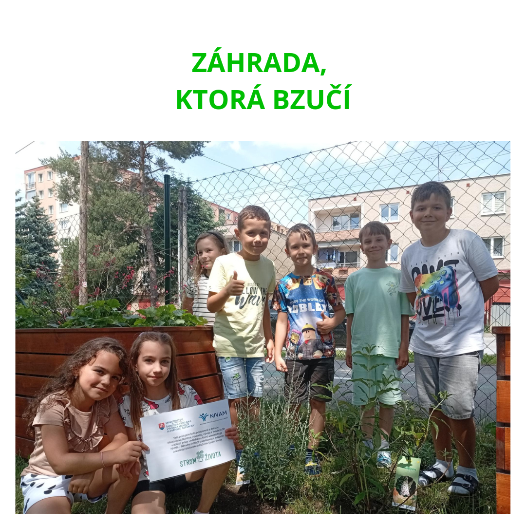 Záhrada, ktorá bzučí