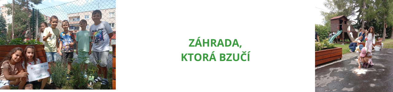 Záhrada, ktorá bzučí