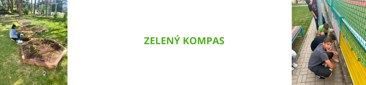 Zelený kompas