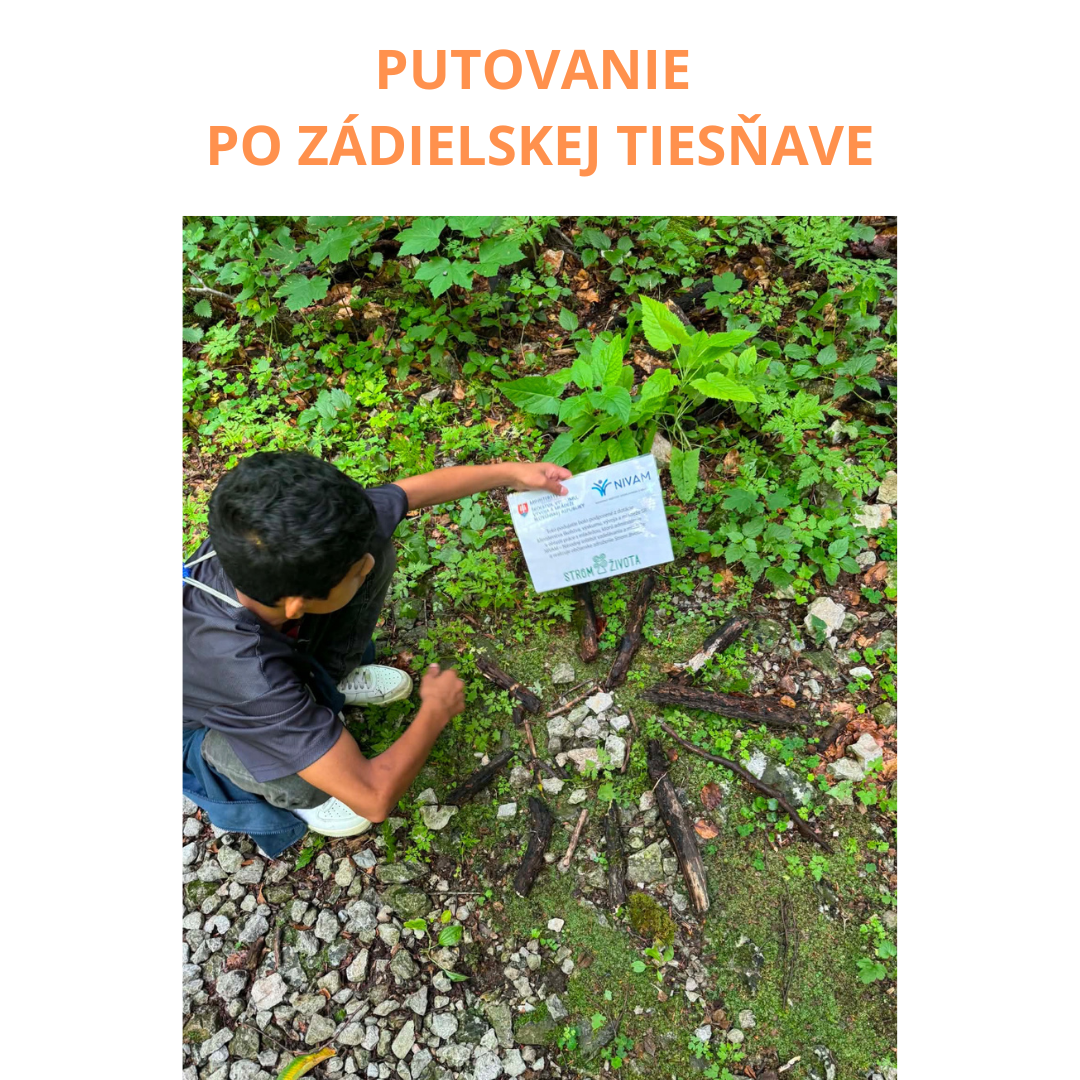 Putovanie po Zádielskej tiesňave