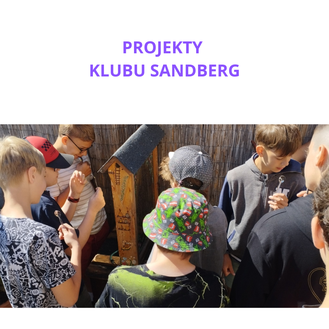 Projekty Klubu Sandberg