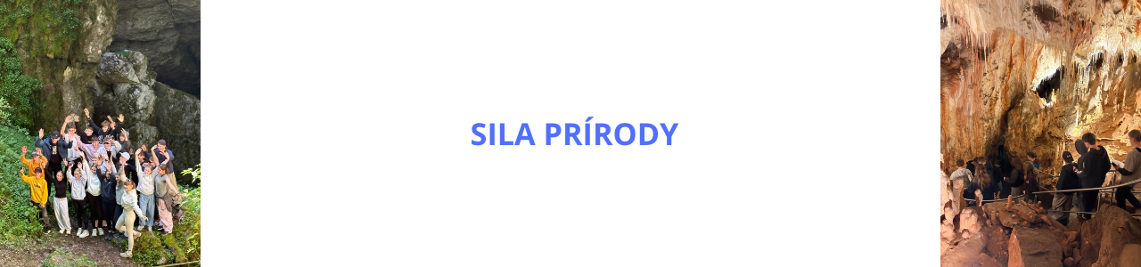 Sila prírody