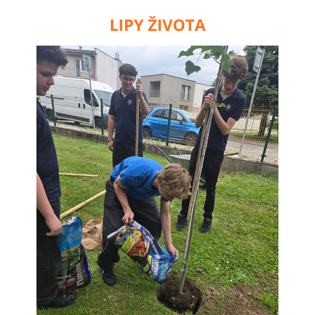 Lipy života