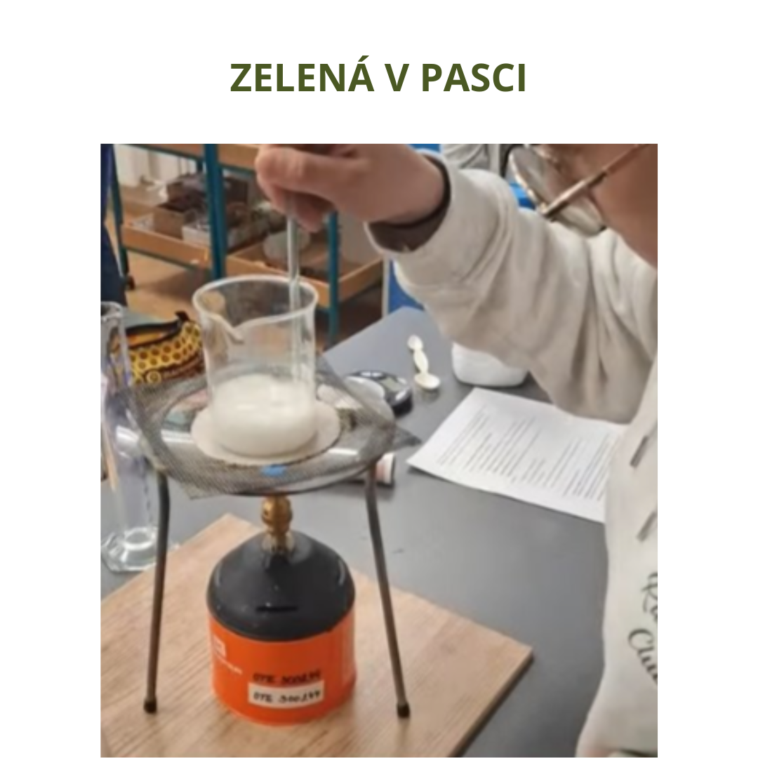 Zelená v pasci
