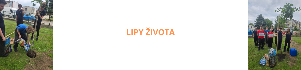 Lipy života