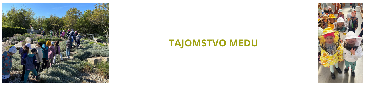 Tajomstvo medu
